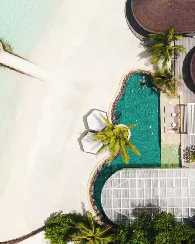 Installez-vous, prenez votre temps.

Venez avec vos personnes préférées et vos projets les moins ambitieux. Dans la Three-Bedroom Kuda Estate, notre plus grande suite au Four Seasons Kuda Huraa, votre piscine privée occupe le devant de la