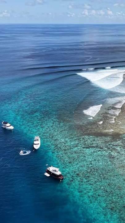 Bede fa sul serio

Le onde sono cresciute, gli yacht sono rimasti fermi e @bededurbo si è messo al lavoro. Un totale di 17.43 in semifinale, il primo giro sul reef a metà manche dell'evento e una vittoria finale su @cocom4debarrelkil