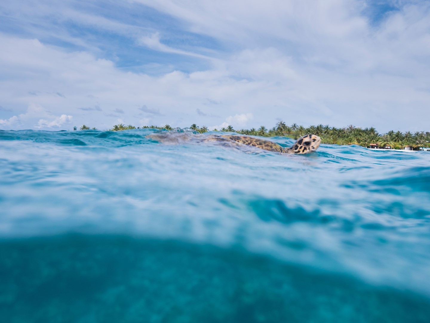Photo by Fun Island Resort & Spa in Maldives.