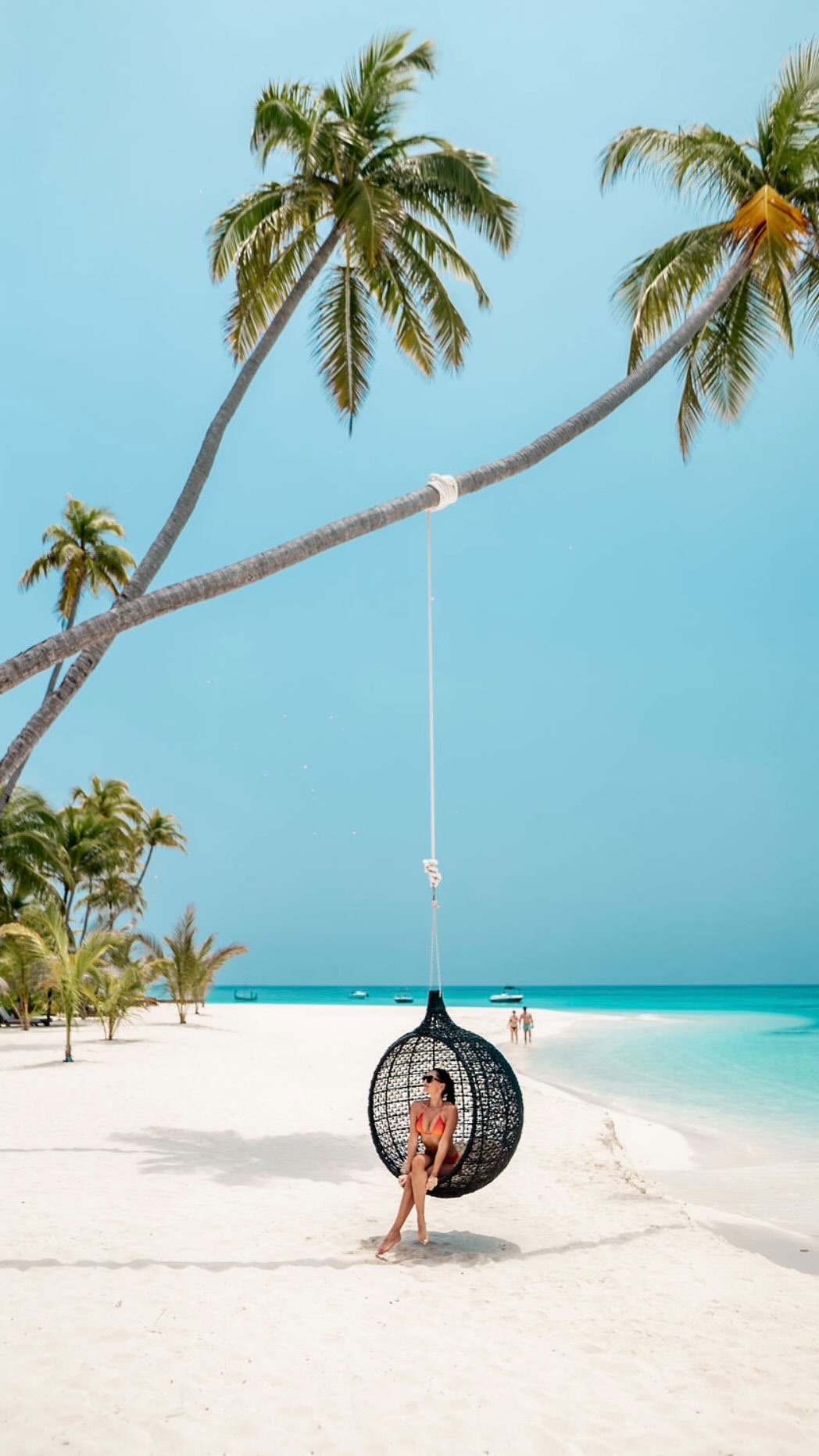 Our own little coconut tree in @fushifaru 🥹🥥🌴 #maldives #fushifarumaldives