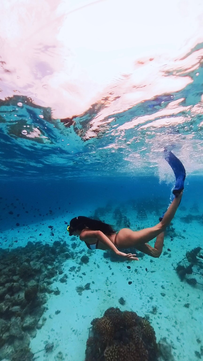 Hai trovato il paradiso. 
E la persona con cui viverlo.🪸🩵

#maldives #love #summer2026