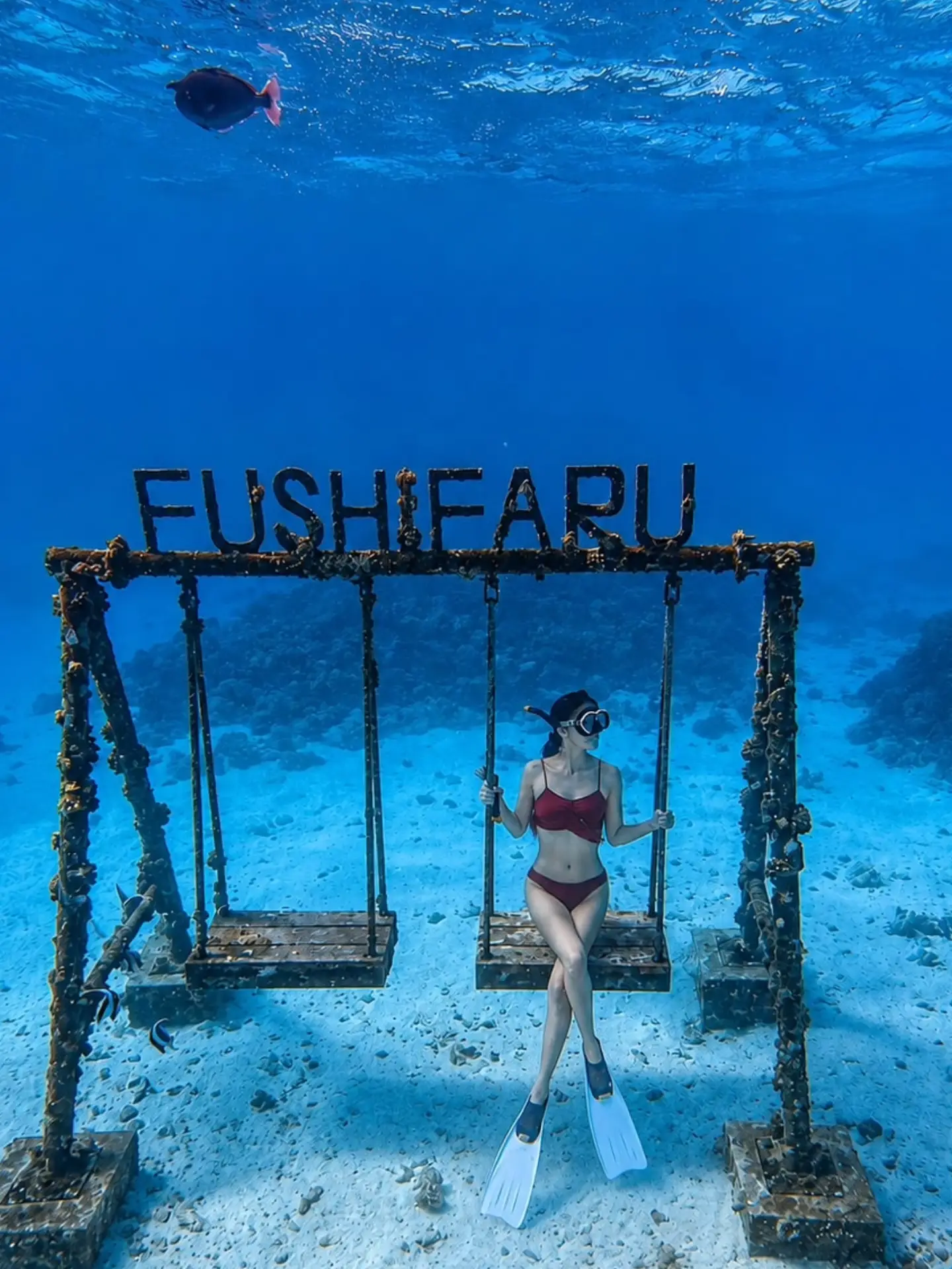 Foto von Fushifaru Maldives | Boutique Resort in Fushifaru Maldives mit @chaeng_43. Möglicherweise ein Bild von Schwimmen, Schnorchel, Neoprenanzug und Text.