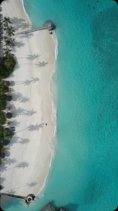 Photo de profil en mouvement 💭

Pense à liker si tu as aimé ! 

Fushifaru Maldives📍

🌺 Retrouve plus d'informations sur notre site Internet (lien en bio) : lesvoyagesdemanonetnico.travel.blog 

#ma