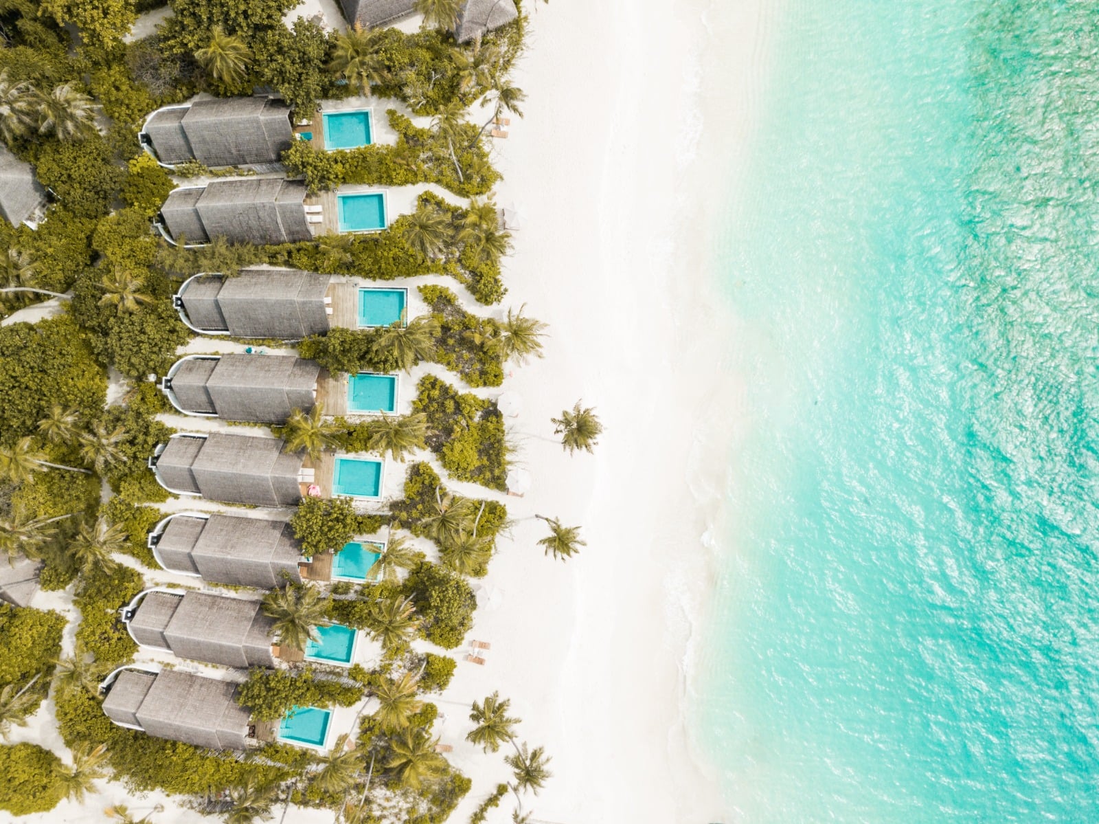 Pool Beach Villa Sunrise bei Fushifaru Maldives