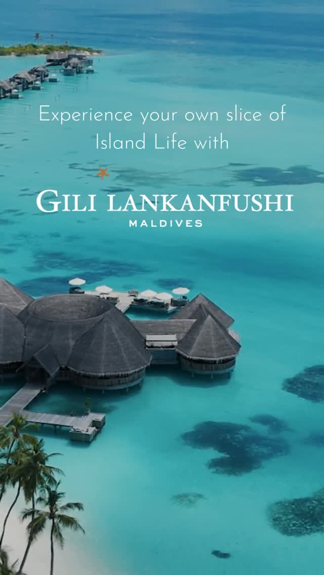 At Gili Lankanfushi, the transition from the world’s noise to absolute stillness happens the moment your feet meet the sun-bleached teak of the jetty. Its a seamless descent into a barefoot Crusoe rev