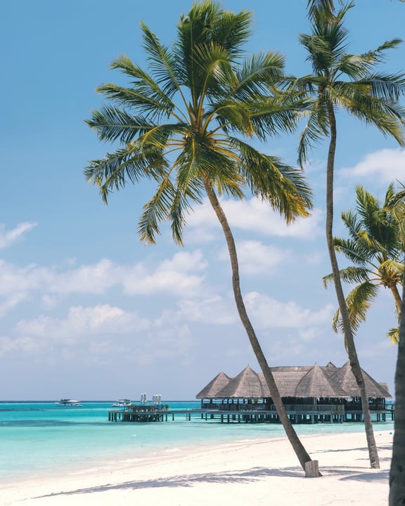 Foto von Gili Lankanfushi, Maldives in Gili Lankanfushi, Maldives. Möglicherweise ein Bild von Ozean, Palmen, Cabana und Text.