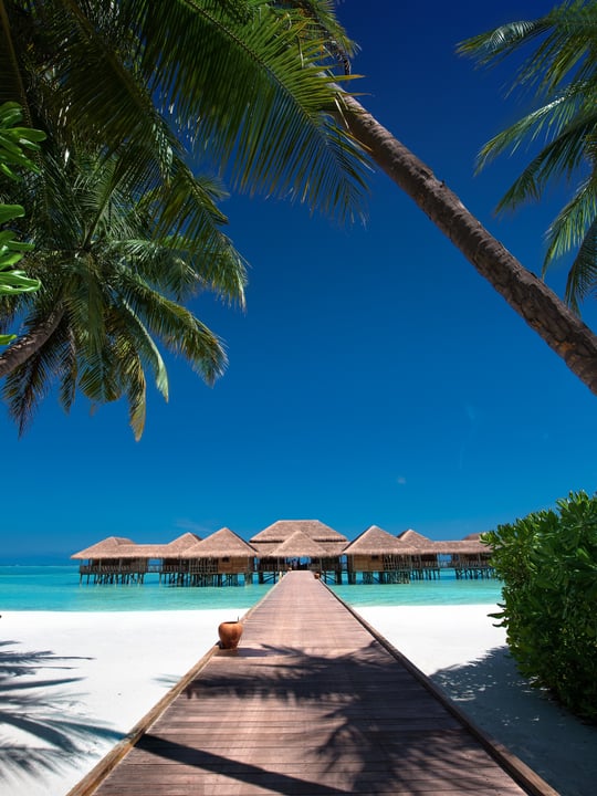 Meera Spa à Gili Lankanfushi — là où commence le voyage vers la sérénité. Entouré de palmiers ondoyants, d'eaux turquoise et de ciels maldiviens infinis. 🌴✨