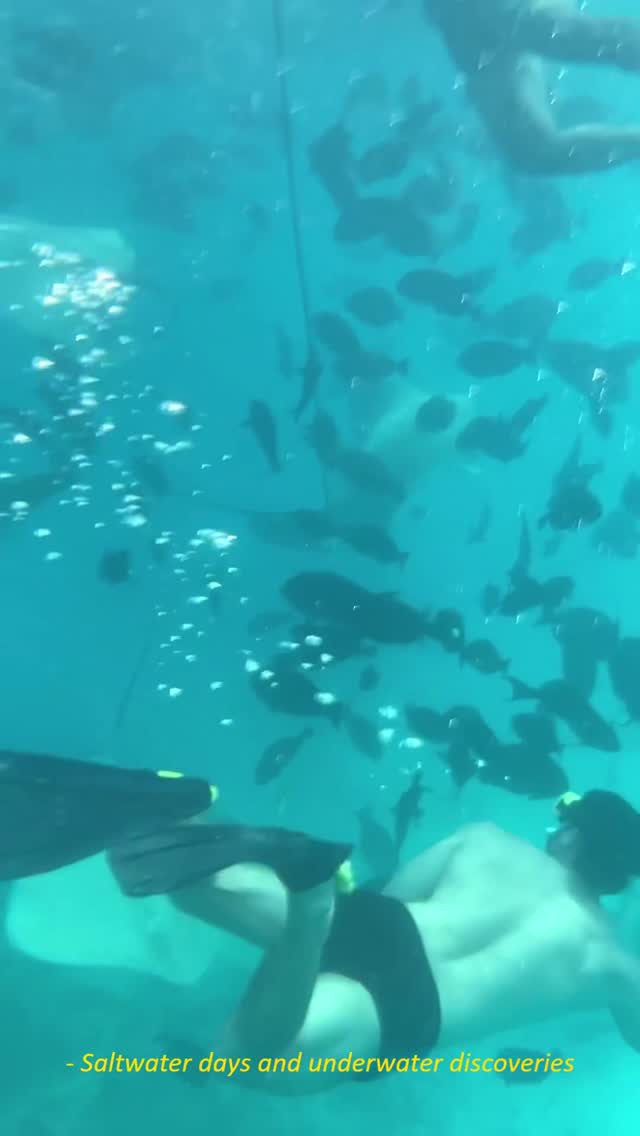 Just beneath the surface lies a completely different rhythm. 

Glide over our vibrant house reef and meet the marine neighbors that call our lagoon home. There are no filters here. 
Just the pure, unt