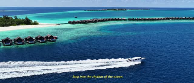A masterpiece painted in living turquoise. 

From above, our overwater sanctuary looks like a dream—but the feeling of being here is entirely real.

#GrandParkKodhipparuMaldives #ParkHotelGroup
#Famil