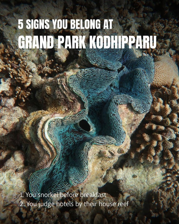 Photo by Grand Park Kodhipparu on July 31, 2026. May be an image of text that says "5 SIGNS γου BELONG AT GRAND PARK KODHIPPARU 1. You snorkel before breakfast (2.Youjudgehotelsbytherhousereef 2.You 2