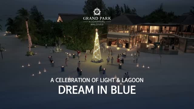 Le monde rêve d'un Noël blanc. Nous rêvons en bleu.

Un peu de magie festive, une touche de merveille tropicale, et la beauté infinie du lagon.

Cette saison, Noël prend une autre teinte