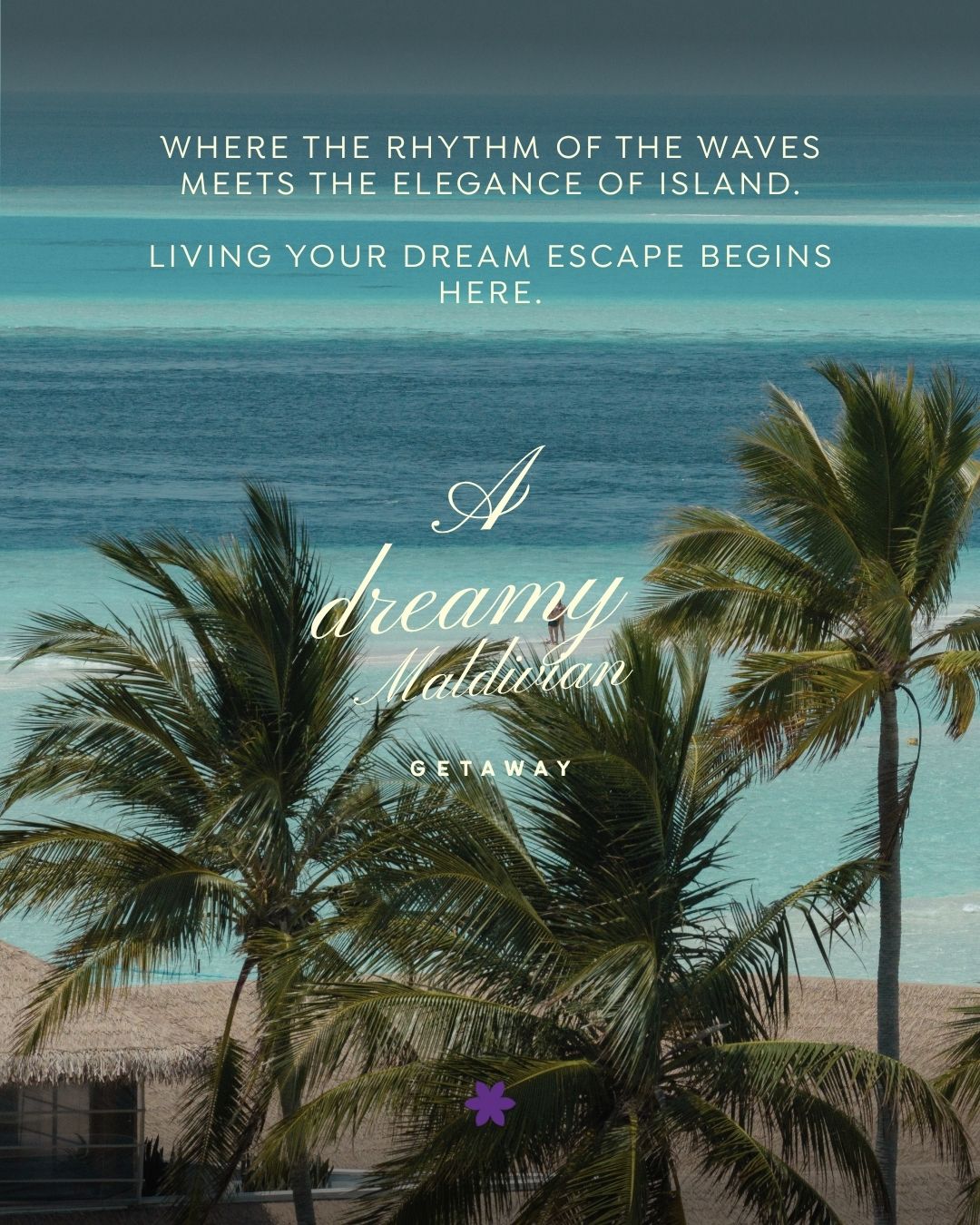 Foto geteilt von Cinnamon Velifushi Maldives am 02. September 2026, markiert @cinnamonhakuraahuraa, @ellaidhoomaldivesbycinnamon und @cinnamondhonvelimaldives. Zeigt möglicherweise eine Grafik von Poster, Magazin, Palme