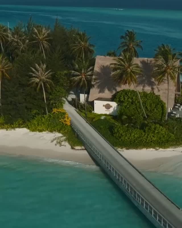 Même île. Chaque angle vole la vedette.
Le lagon, les villas sur pilotis, la Marina : voici Hard Rock Hotel Maldives vu d'en haut. Glissez pour découvrir chaque vue.

Lequel choisiriez-vous pour vous réveiller ? Dites-nous