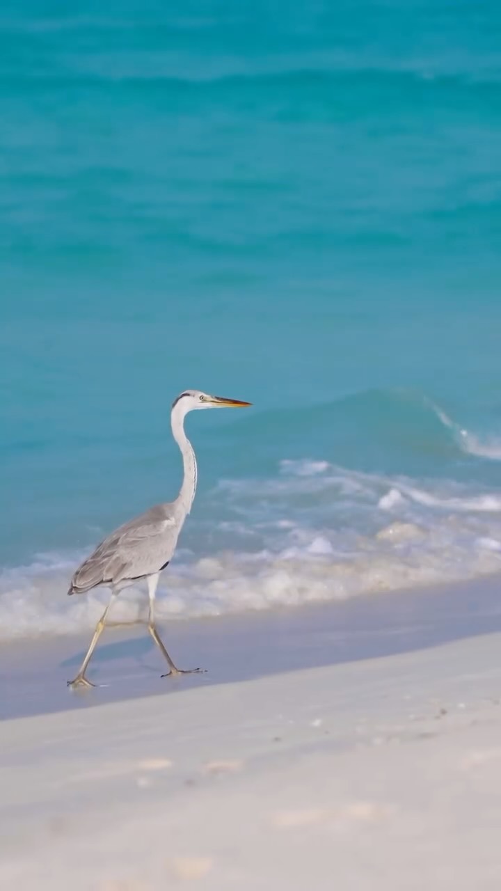 Immersed in nature and guided by its beauty every day.
At Hideaway, Earth Day reminds us to value and protect what surrounds us, from clear turquoise waters to lush island landscapes and the life they
