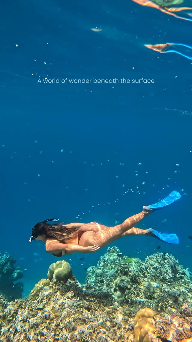 The ocean is at the heart of everything we love about island life. From vibrant coral reefs and diverse marine life to the crystal clear waters that surround Hideaway, it inspires, sustains, and conne