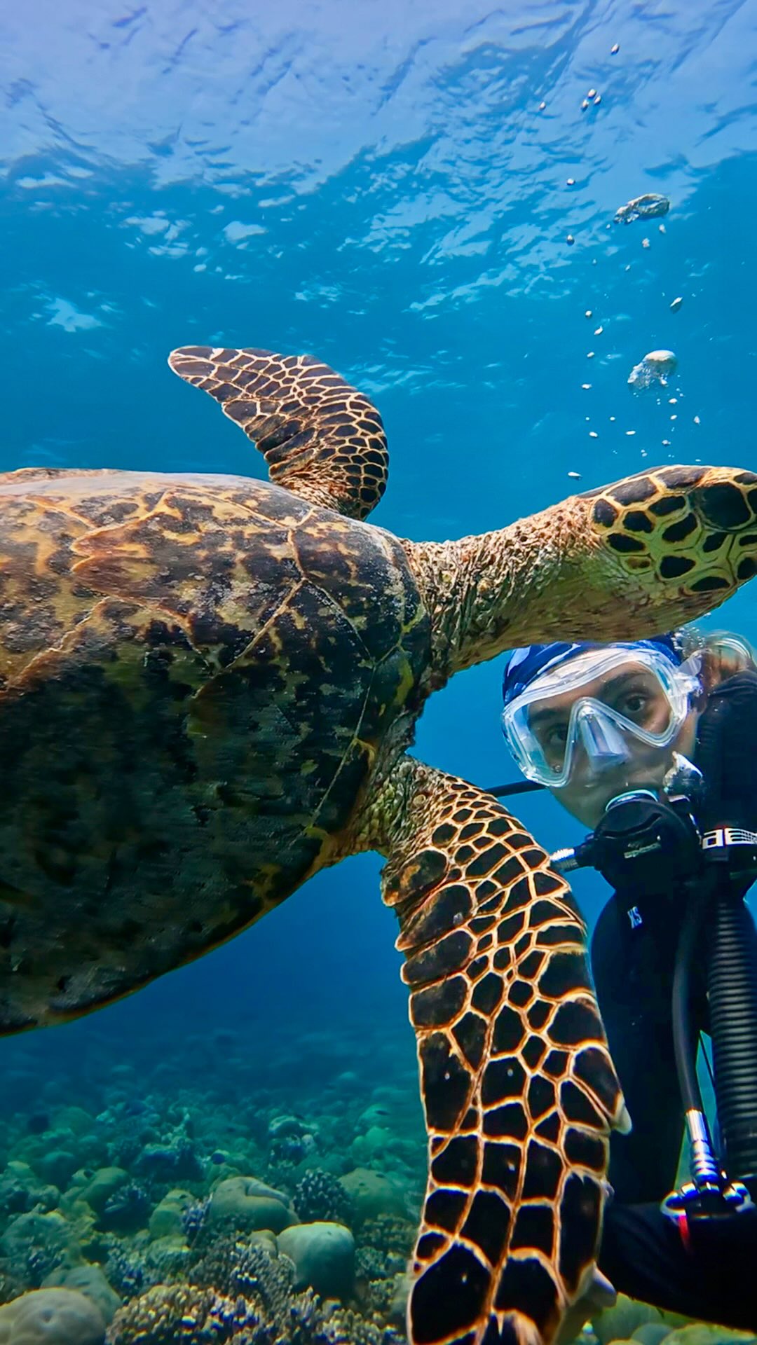 Der PADI Women’s Dive Day gehört den Frauen, die sich in der Tiefe am meisten zu Hause fühlen. Heute feiern wir jede Einzelne von ihnen, im klarsten Wasser, das die Malediven zu bieten haben. Auf die Frauen, die tauchen, und a
