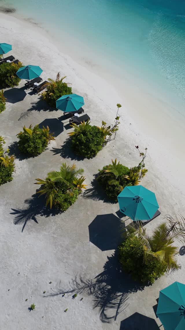 The west beach at Kandooma is now shaded and ready for the kind of beach days that has no real agenda.

Explore more
www.maldives.holidayinnresorts.com/offers

#FamilyHoliday #Kandooma #Maldives #IHG