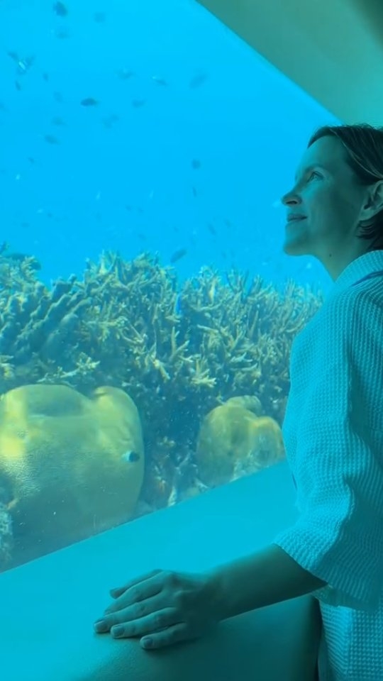 Where the ocean becomes your sanctuary. Huvafen Fushi’s underwater spa invites you to reconnect, restore, and experience wellness surrounded by the calming beauty of the Indian Ocean.

#HuvafenFushi #