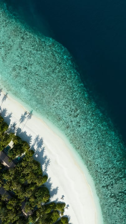 World Ocean Day is more than just a date on the calendar for us, it is a call to action. Surrounded by Raa atoll's unique and thriving marine ecosystem, we see first-hand how vital healthy oceans are 