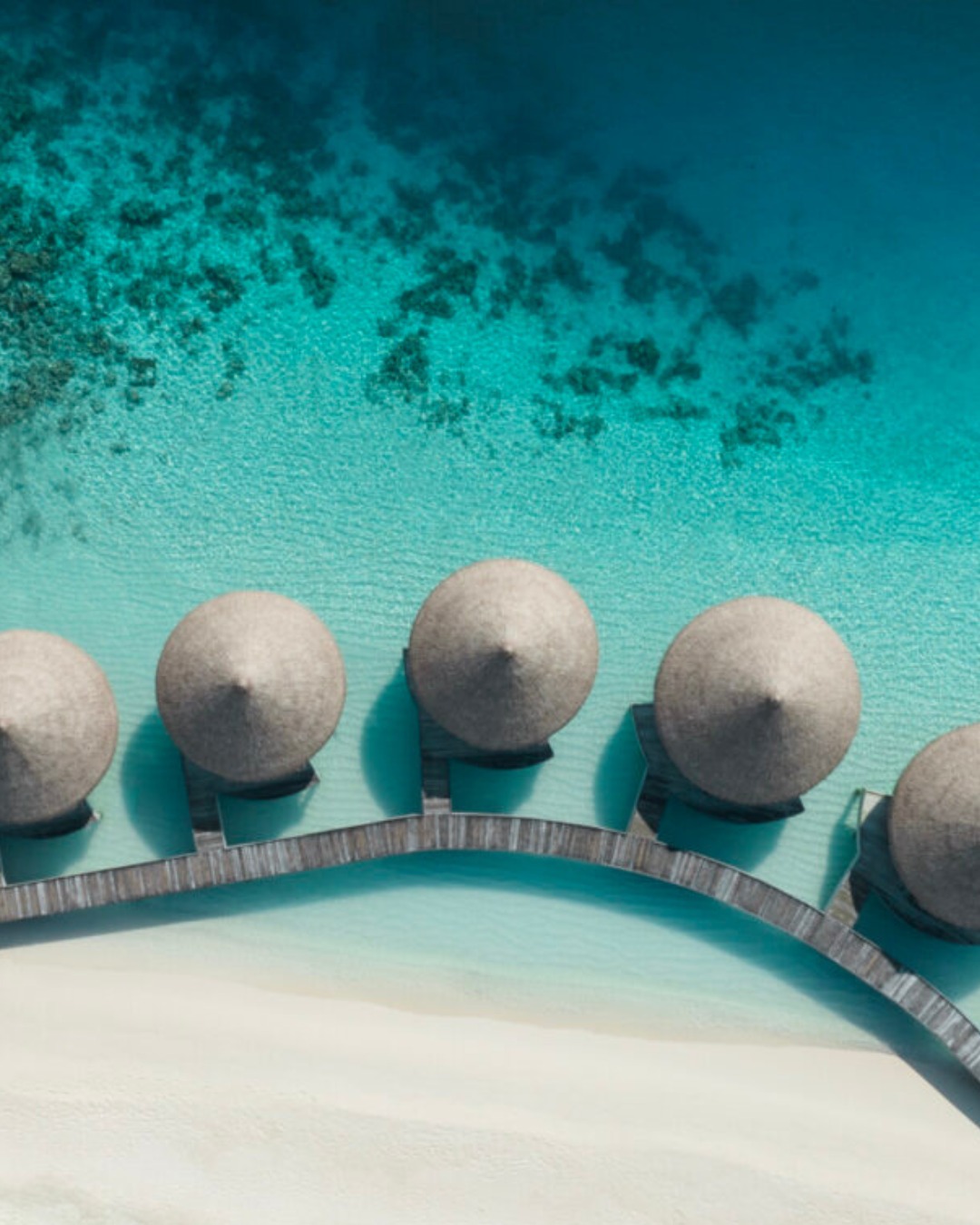 Foto von InterContinental Maldives vom 05. September 2026. Möglicherweise ein Bild von Ocean und Text.
