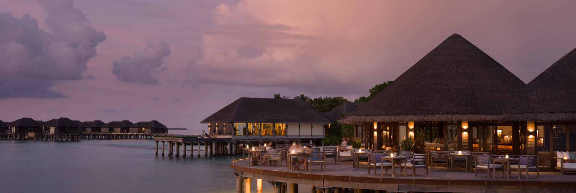 White Orchid restaurant