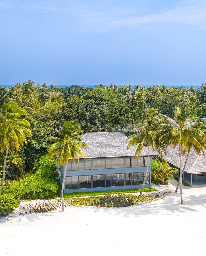 Photo by Jawakara Maldives in Jawakara Maldives. May be an image of beach, palm trees and text.