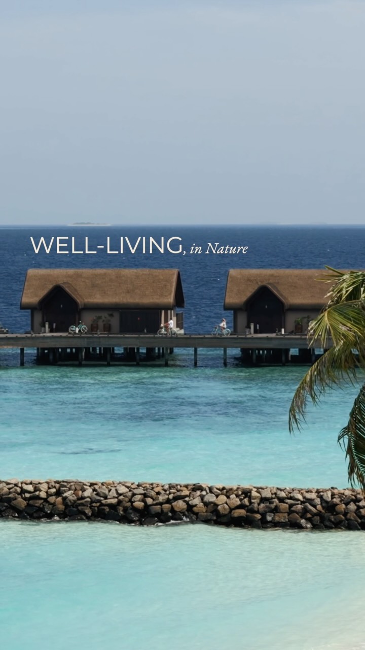 Access to nature is one of the quickest routes to a personal reset and transformation. Having the Indian Ocean surrounding you is one of the purest expressions of this that I’ve ever experienced.