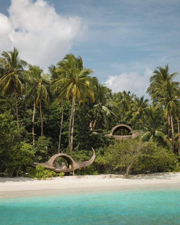 Photo by JOALI Maldives on June 17, 2026. May be an image of palm trees and text.