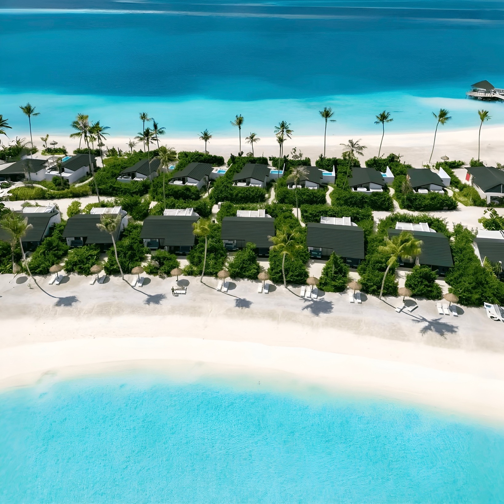 Joy Island