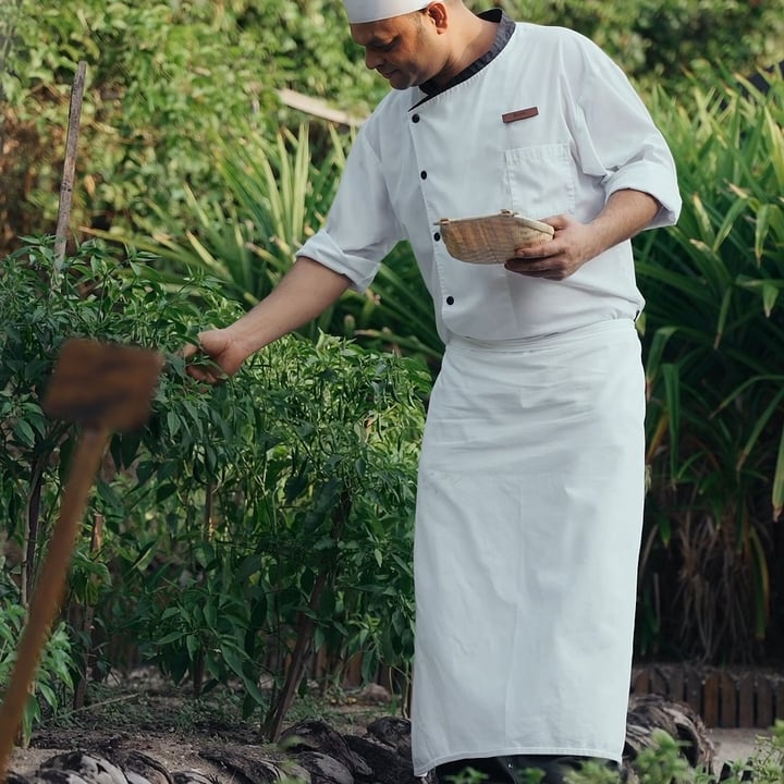 Verborgen in unserem Insel-Refugium liegt das Herz unserer kulinarischen Reise. Fresh herbs, kräftige Blüten und nachhaltig angebaute Zutaten werden täglich von Hand im JW Garden geerntet und inspirieren unvergessliche