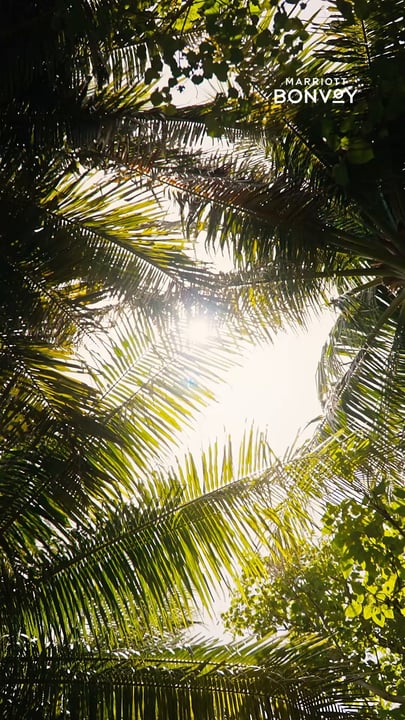 Il conto alla rovescia verso il paradiso è iniziato — e chi prenota prima vince.

Riserva la tua fuga natalizia presso JW Marriott Maldives Resort & Spa tra il 15 settembre e il 15 novembre 2026 per soggiorni dal 20 dicembre 2026 a