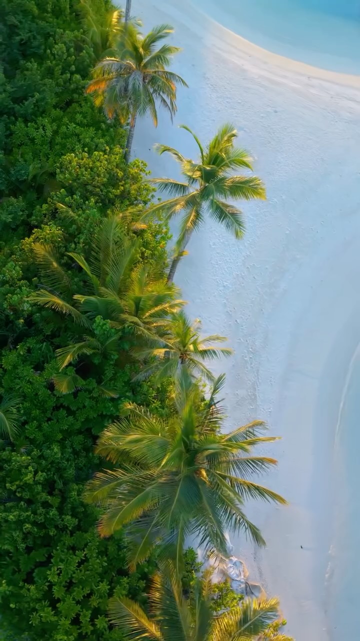 À quoi ressemble le paradis aux Maldives ? 🌴

Découvrez Kagi Maldives, un resort-boutique de luxe intimiste dans l'atoll de North Malé, où lagons turquoise, plages de sable blanc immaculées et végétation tropicale lux