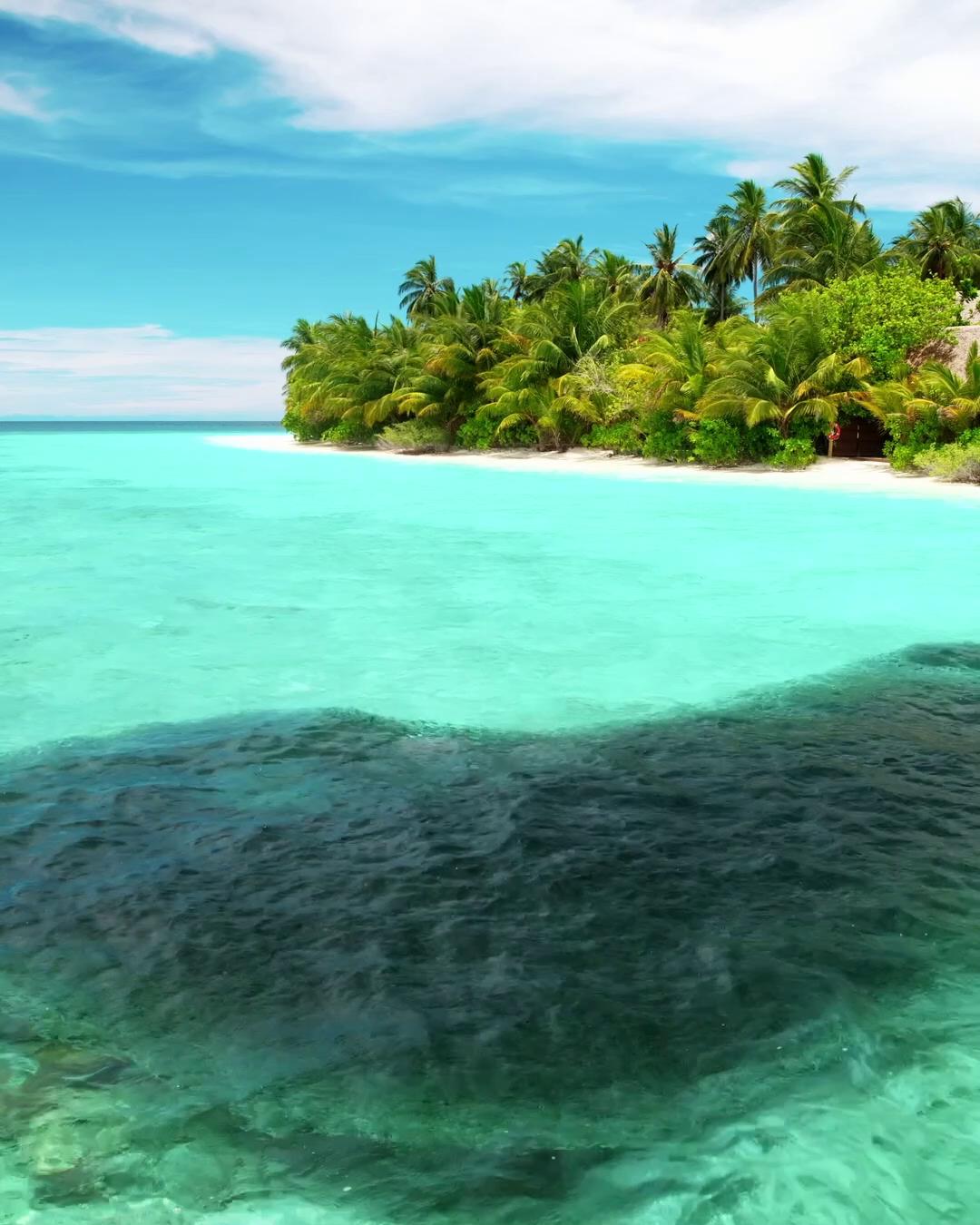 A world of colour, wonder, and marine beauty awaits just beneath the surface. Kandolhu’s vibrant house reef is where every swim reveals the magic of the Indian Ocean.

#KandolhuMaldives #HouseReef #Lu