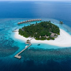 @kandolhu profile picture