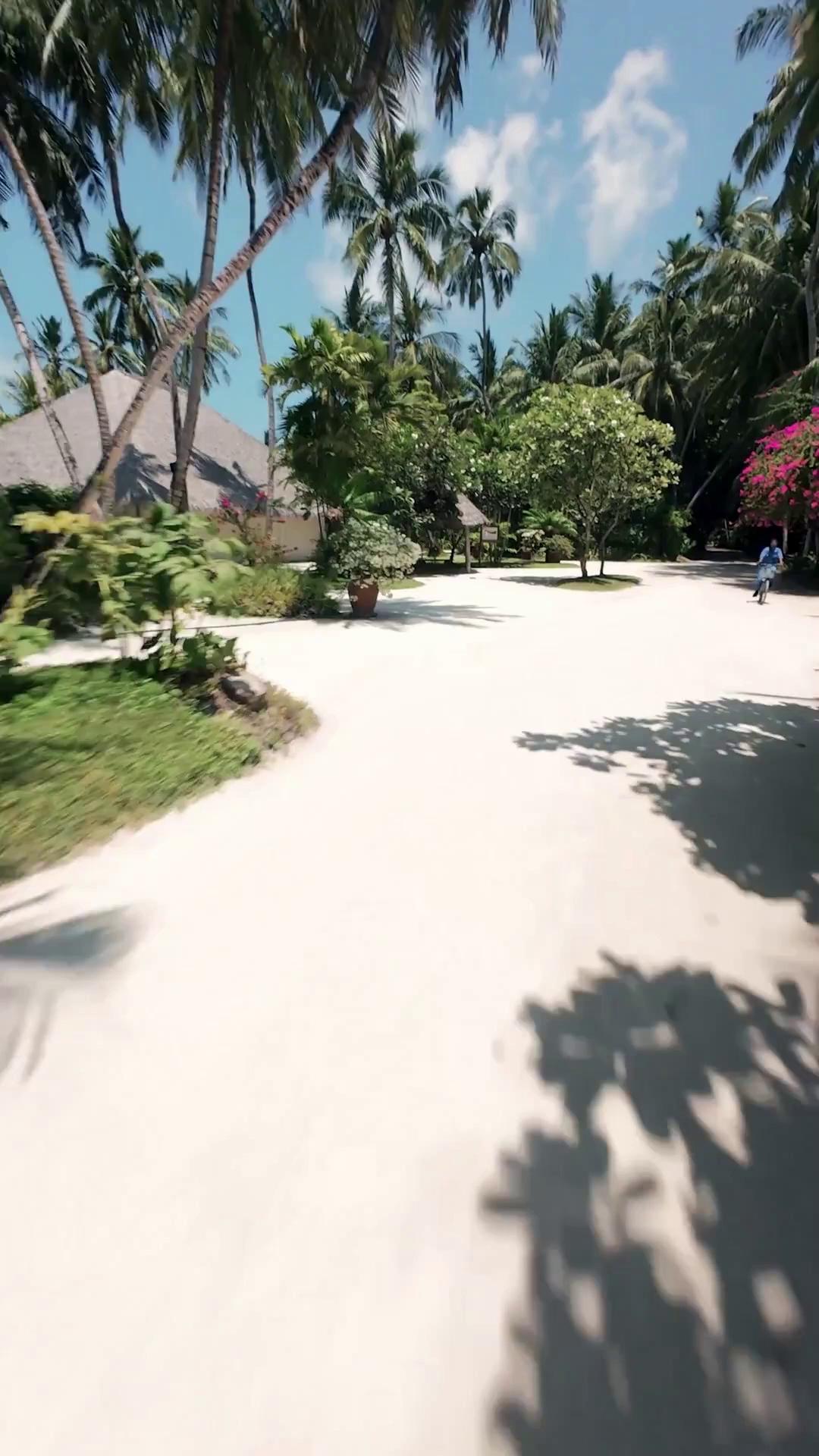 Amidst vibrant greenery and winding island pathways, every step reveals a view worth lingering for. 

#NivaKuramathi #YourIslandOfChoice #MomentsThatStay #VisitMaldives