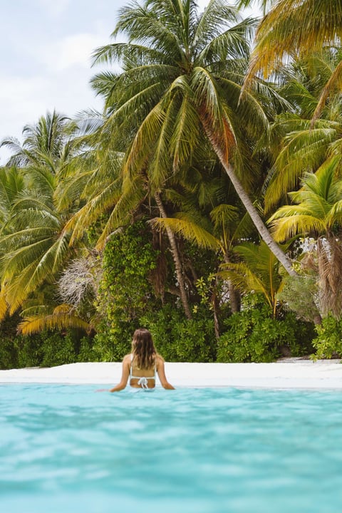 Photo by Niva Kuramathi Maldives in Niva Kuramathi Maldives. May be an image of swimming, pool, palm trees and text.