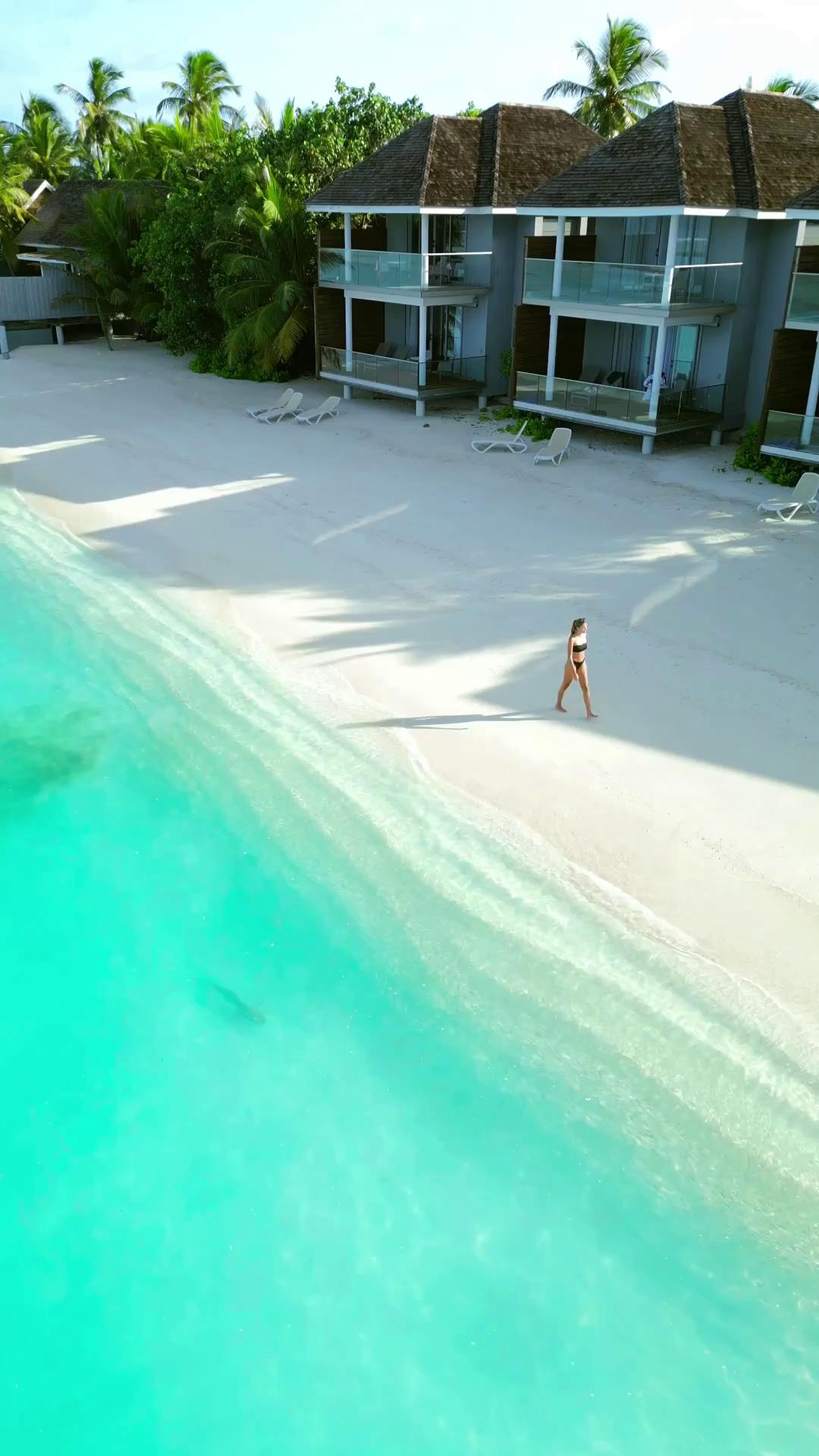 Some memories are made not by rushing, but by wandering slowly through paradise.

#NivaKuramathi #YourIslandOfChoice #MomentsThatStay #PerfectEscape #VisitMaldives #EscapeToKuramathi