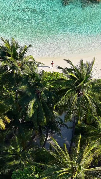Pieds nus, entourés d'eau turquoise et sous un magnifique ciel maldivien. Bienvenue au Niva Kuramathi.

#NivaKuramathi #YourIslandOfChoice #MomentsThatStay #PerfectEscape #VisitMaldives #FreedomToBe 