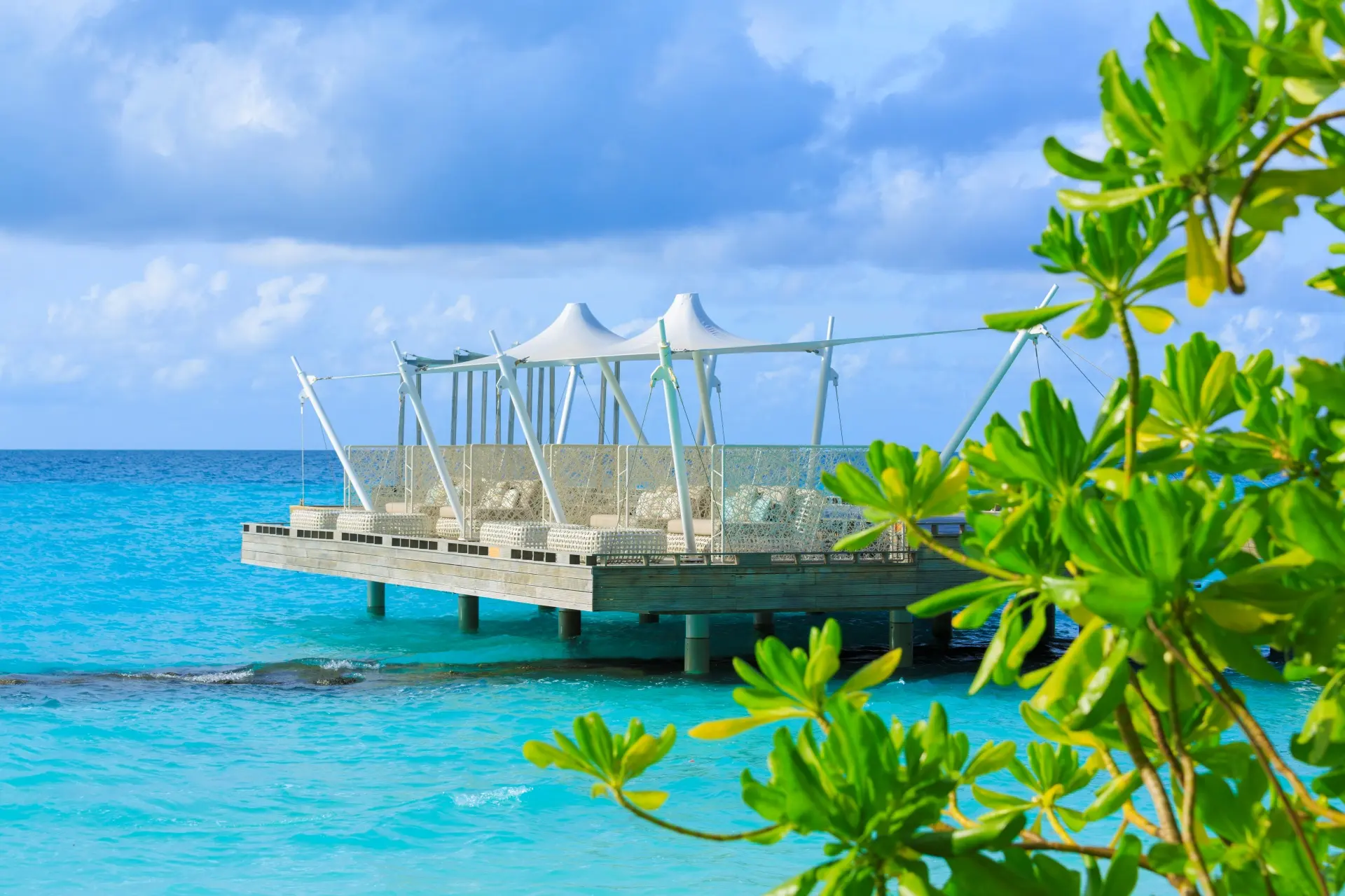 Dhoni Bar restaurant