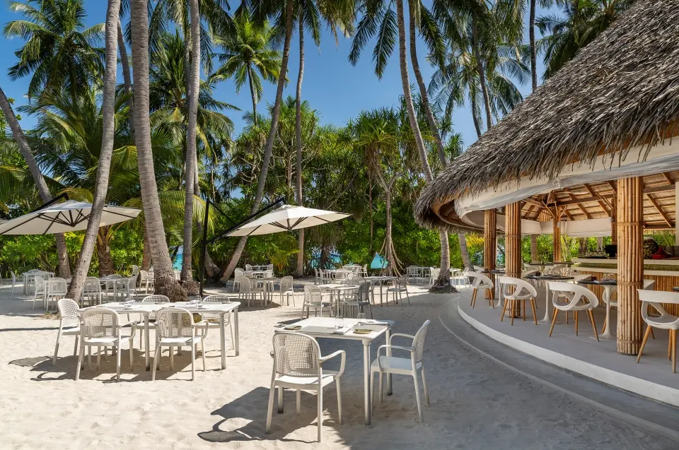 Palm restaurant