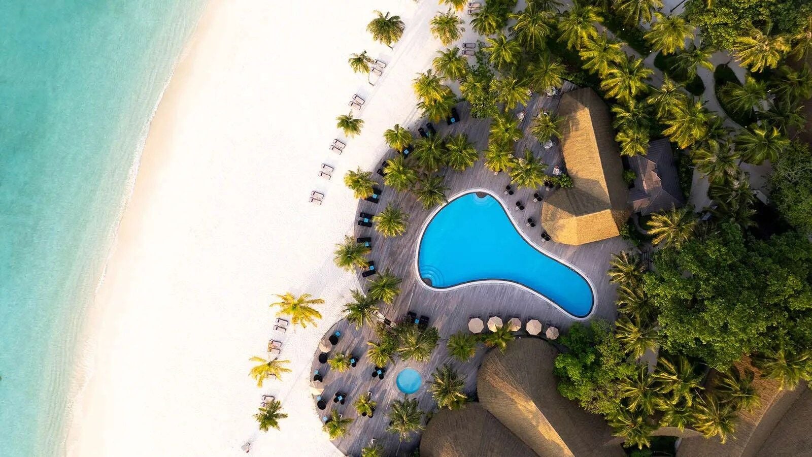 Eine Luftaufnahme zeigt einen geschwungenen blauen Swimmingpool, umgeben von Palmen und Liegen nahe einem Sandstrand.