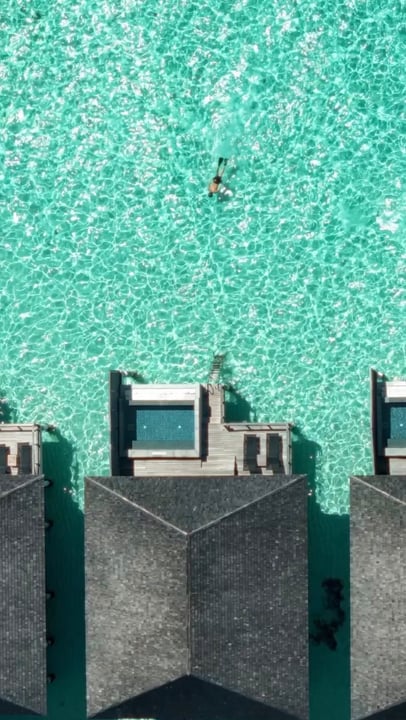 For the creative-minded traveller, every stay is an opportunity to awaken your senses and discover more. ✨

As a Marriott Bonvoy member, unlock unforgettable moments at Le Méridien Maldives Resort & S