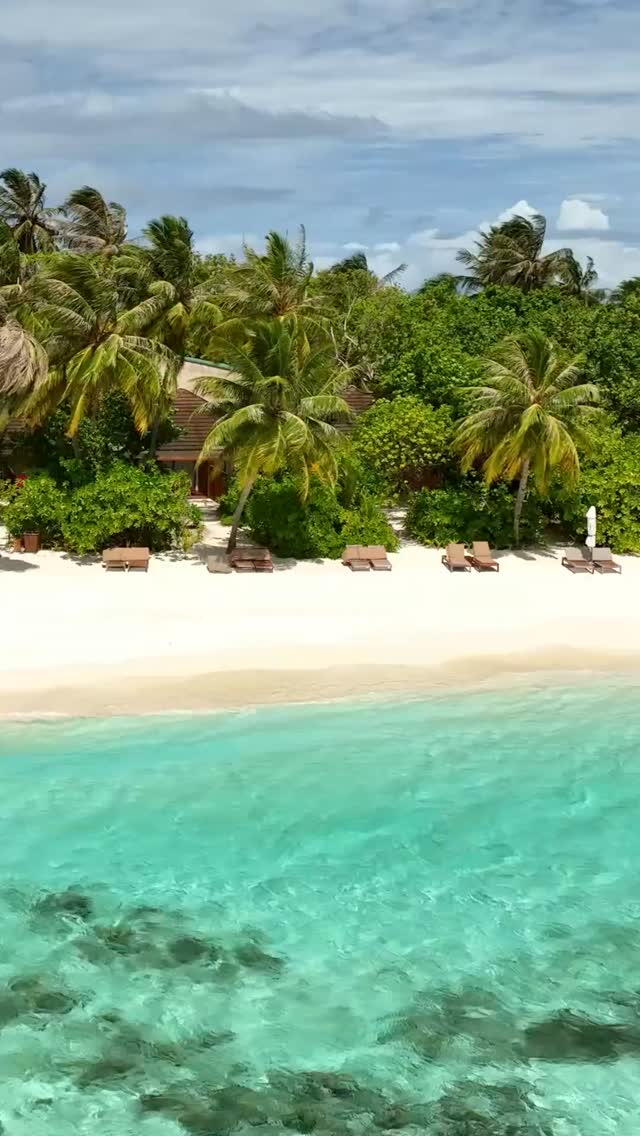 Today, we celebrate the beauty of the natural world that surrounds us and inspires us every day. 💚🌿

At Lily Beach Resort & Spa, protecting our pristine island environment and the vibrant marine eco