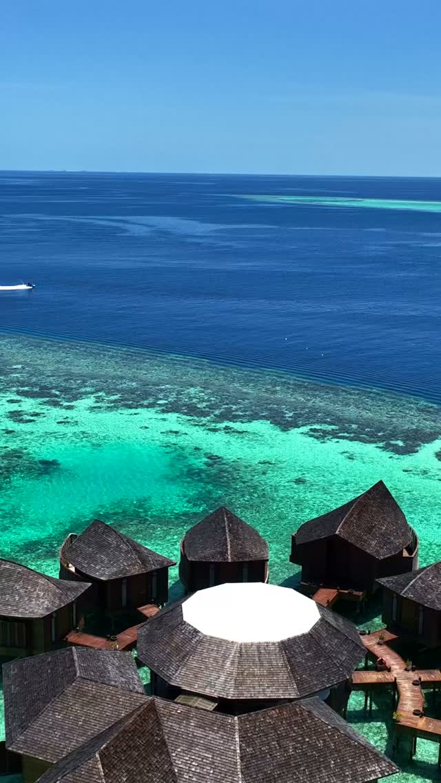 Where every shade of blue calls for a new adventure. 💙🌊

Glide across crystal-clear waters, dive beneath the surface, or simply chase the horizon - at Lily Beach Resort & Spa, paradise is yours to e