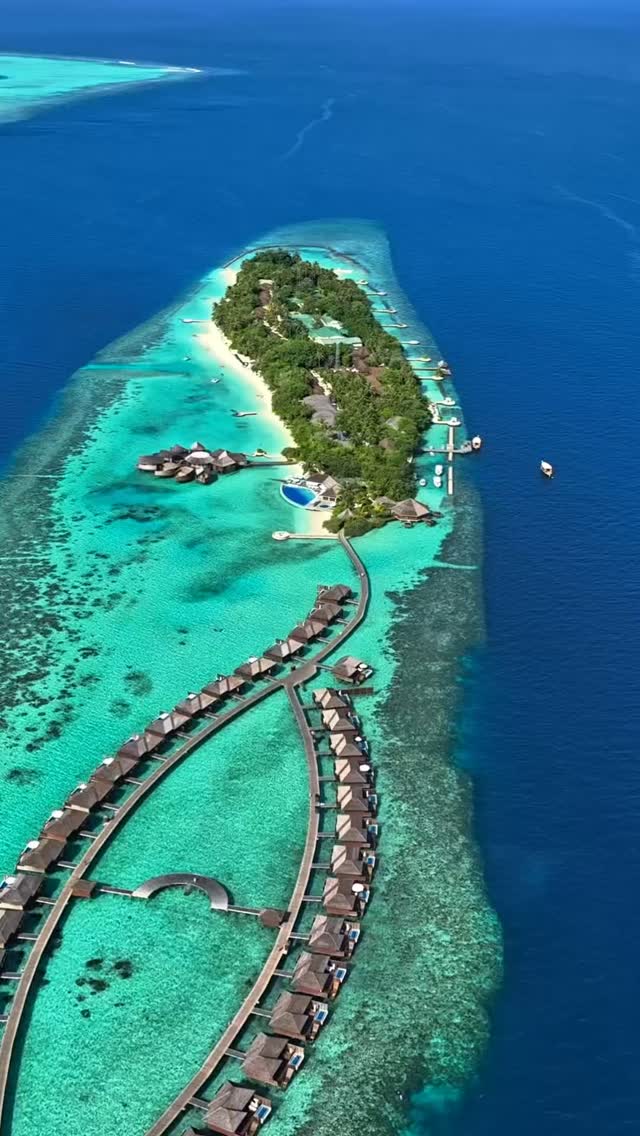 Wir feiern den International Whale Shark Day mit den sanften Riesen der Malediven. 🐋💙

Bei Lily Beach sind die Wunder des Ozeans nie weit entfernt. Auf den Schutz dieser prächtigen Geschöpfe und
