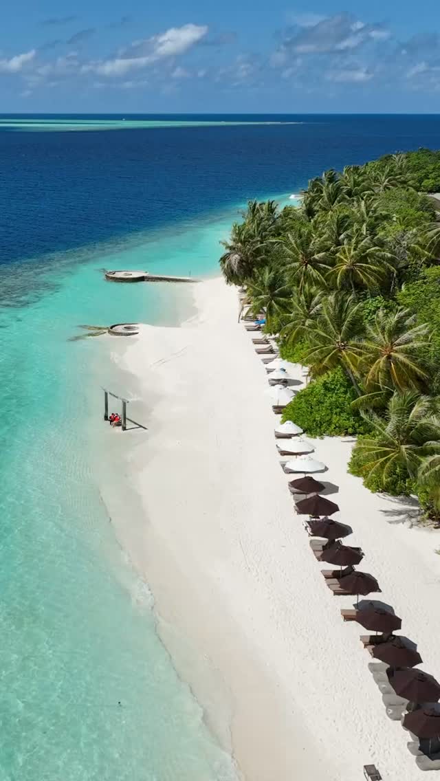 Aujourd'hui, nous célébrons ce qu'est vraiment le tourisme - rassembler les gens, partager des expériences et créer des souvenirs en chemin. 💙

Joyeuse Journée mondiale du tourisme de la part de toute l'équipe de Lily Beach ! 🌴

#Wo