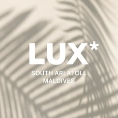 @luxsouthari profile picture