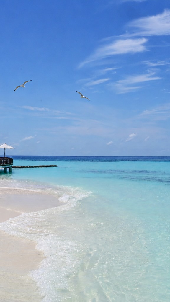 Nothing extravagant, just pure island beauty and timeless simplicity.#yourintimatehideaway 
•
•
•
#islandlife #islandvibes #paradiseisland #maldivesislands