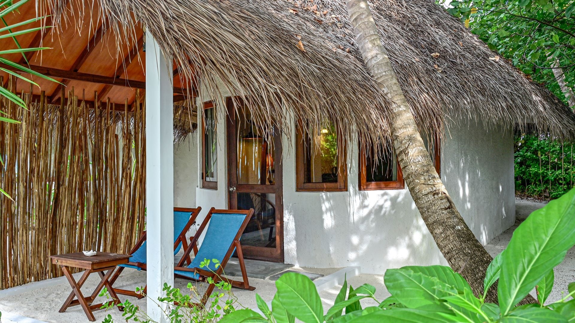 Ein reetgedeckter Beach Bungalow mit zwei blauen Liegen auf der schattigen, von Grün umgebenen Terrasse.