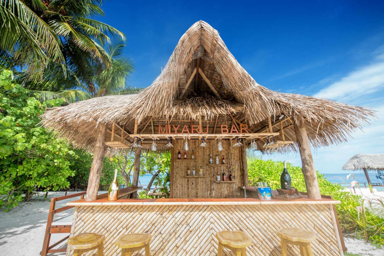 Miyaru Bar restaurant